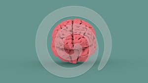 Pink human brain 3d image