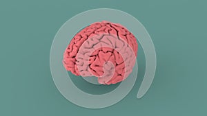 Pink human brain 3d image