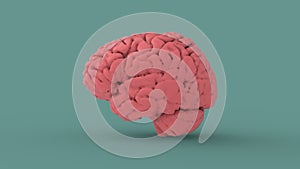 Pink human brain 3d image