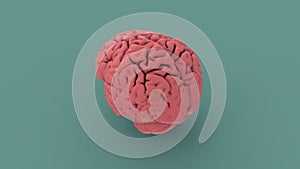 Pink human brain 3d image