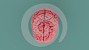 Pink human brain 3d image