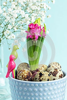 Pink hyacinth in blue flower pot, quail eggs, white gypsophila, decorative birds on pastel blue.