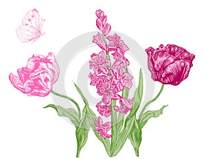 Pink Hyacinth and tulips