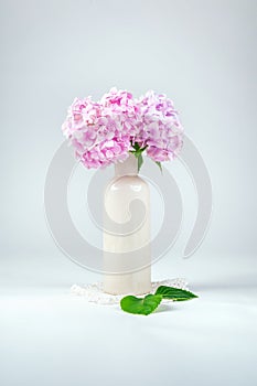 Pink hydrangea in a vase on a white background