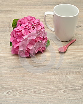 Pink Hydrangea with a white mug and a pink spoon