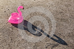 Pink inflatable flamingo with a glass full of water, stands on dry ground with cracks, concept