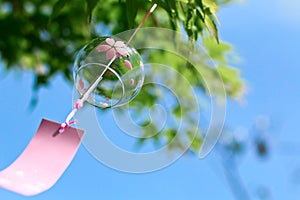 Pink Japanese Bell in the wind