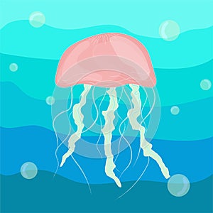 Pink jellyfish underwater on a blue background with bulbs