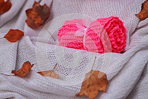 Pink knitted rolled scarf on white lanket with autumn leaves, co
