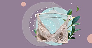 Pink lace bra on a hanger. Underwear. Vintage White Lace Bra unlined lace detailing. Sexuality and seductive lingerie. Banner conc
