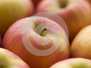 Pink Lady Apples