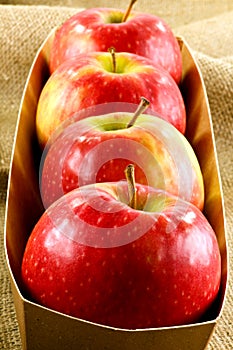 Pink lady apples