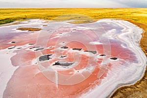 Pink lake in Kalmykia. Pink and white salt on a salt marsh