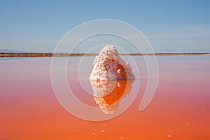 Pink Lake Park Salt Formation Reflection, Alviso, California photo