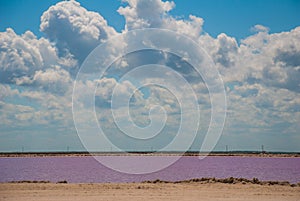 Pink lake. Striking red pool used in the production of salt near Rio Lagartos, Mexico, Yucatan photo