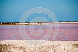 Pink lake. Striking red pool used in the production of salt near Rio Lagartos, Mexico, Yucatan photo