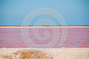 Pink lake. Striking red pool used in the production of salt near Rio Lagartos, Mexico, Yucatan photo