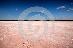 Pink Lake Victoria Australia