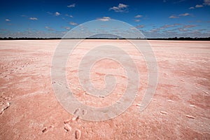 Pink Lake Victoria Australia