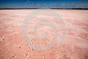 Pink Lake Victoria Australia