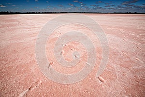 Pink Lake Victoria Australia