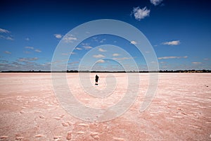 Pink Lake Victoria Australia