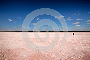 Pink Lake Victoria Australia