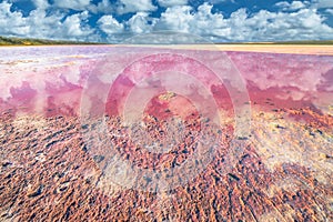 Pink Lake Western Australia photo