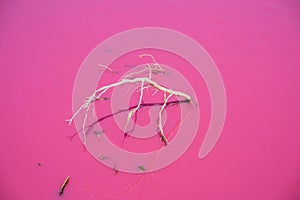 Pink lake in Westgate Park, Melbourne, Australia