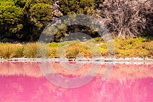 Pink lake in Westgate Park, Melbourne, Australia