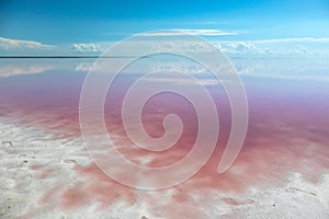 Pink lake with white salt and cloudy blue sky