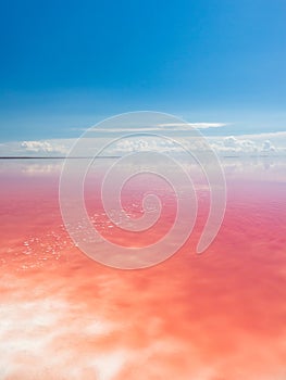 Pink lake with white salt, Syvash coast, vertical