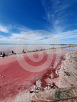 Pink lakes in the Kherson region