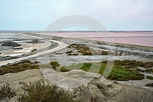 The Pink Lakes of Salin de Giraud, the south-east of the Camargue delta, Arles, France.