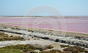 The Pink Lakes of Salin de Giraud, the south-east of the Camargue delta, Arles, France.