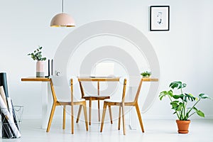 Pink lamp above wooden chairs at table in white interior with po