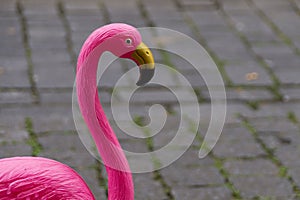 A pink lawn flamingo on a bricked street