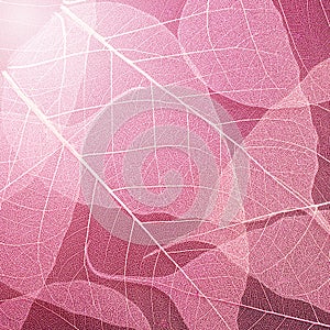 Pink leaves texture background. Foliage decoration pattern.