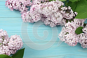 pink lilac flower on blue wooden background. top view with copy space