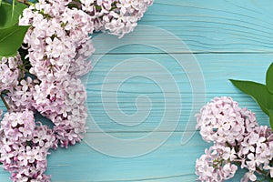 pink lilac flower on blue wooden background. top view with copy space