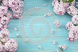 pink lilac flower on blue wooden background. top view with copy space
