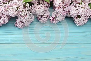 pink lilac flower on blue wooden background. top view with copy space