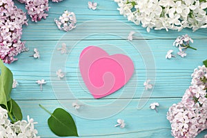 pink lilac flower on blue wooden background. top view with copy space