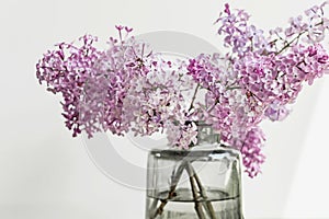 Pink lilac flower bouquet in glass vase