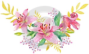 Pink lilies.Floral Illustration photo