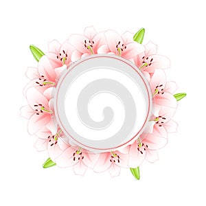 Pink Lily Flower Banner Wreath isolated on White Background. Vector Illustration