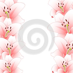 Pink Lily Flower Border isolated on White Background. Vector Illustration