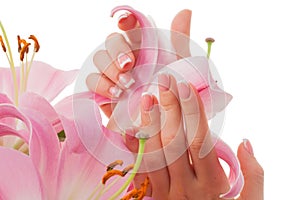 Pink lily flowers and female hands with French manicure close-up on a white background