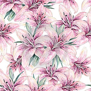 Pink lily flowers isolated on white background. Watercolor handwork illustration