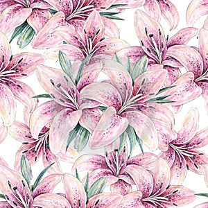 Pink lily flowers isolated on white background. Watercolor handwork illustration photo